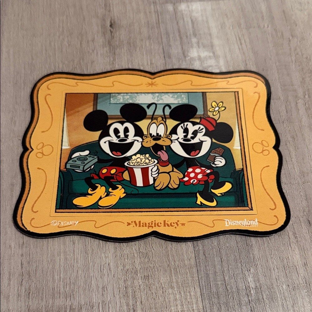Disneyland magic key magnet